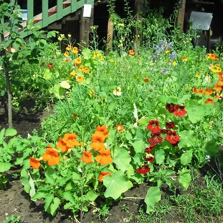 Bildt Apartment Ostseebad Kölpinsee